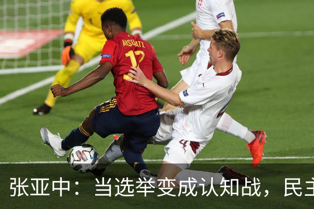 张亚中：当选举变成认知战，民主还有意义吗